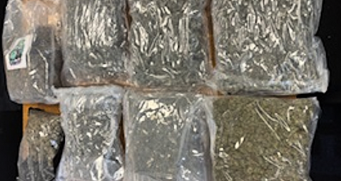 €120,000 cannabis seized and two men arrested in Co Wexford