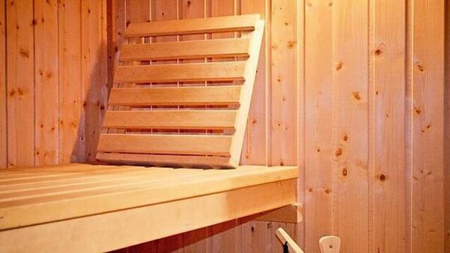 Ireland's first floating sauna to open in Dun Laoghaire next year