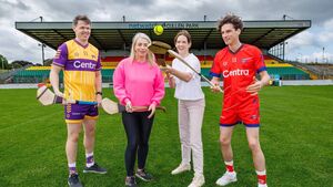 Netwatch Cullen Park to host Hurling For Cancer Fundraising game on Monday 