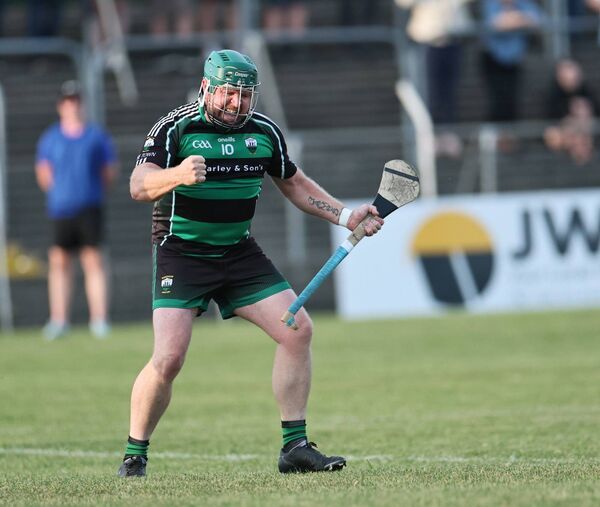 Bagenalstown Gaels captain Darren Hickey celebrates scoring the only goal of the JJ Kavanagh &amp; Sons Junior Hurling Championship final Photo: Pat Ahern