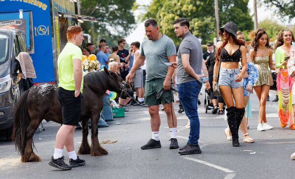 Animals and style come together at the Borris Fair