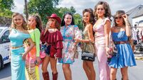 Borris Fair basked in the sunshine but numbers were down 