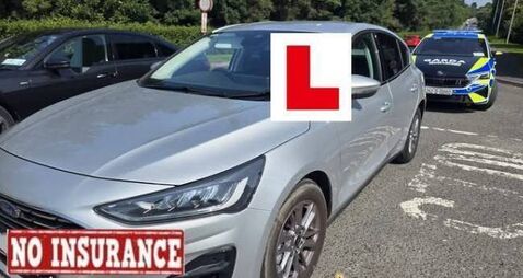 Gardaí find driver's license is 17 years out of date