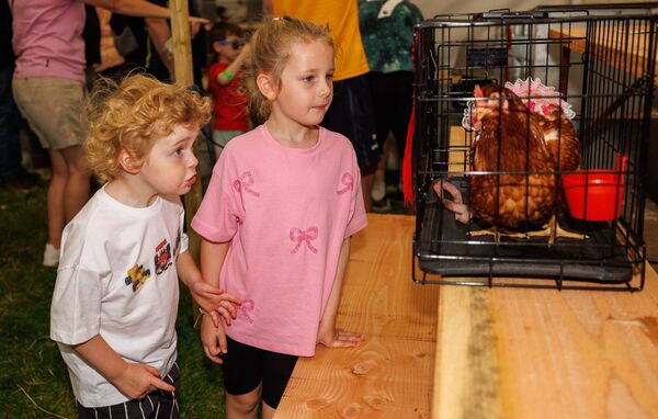 Evie-Mai and Padraig Butler get a close up look at a prize winning chicken