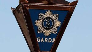 Garda suspended after death of man in Dublin Garda suspended after death of man in Dublin