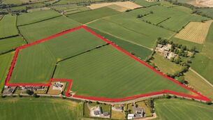 <p>The land was sold at auction recently</p>