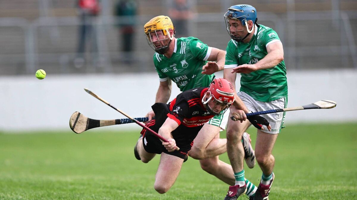 St Mullins can retain their SHC crown