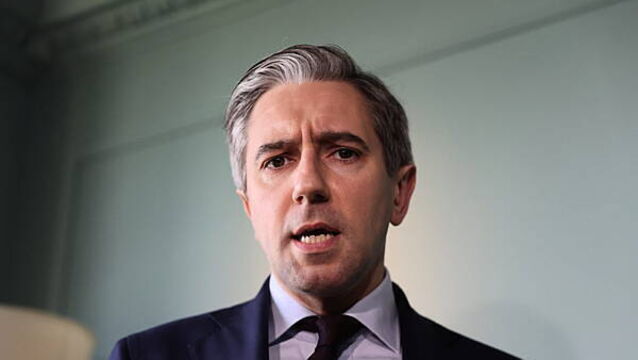 Tánaiste wants ‘real sanction’ moves against Israel over breach of EU agreement