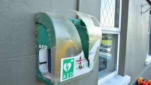 Carlow village rallies after senseless vandalism