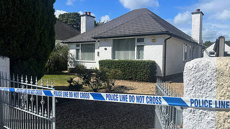 Man (84) found dead outside house victim of ‘brutal and sustained attack’