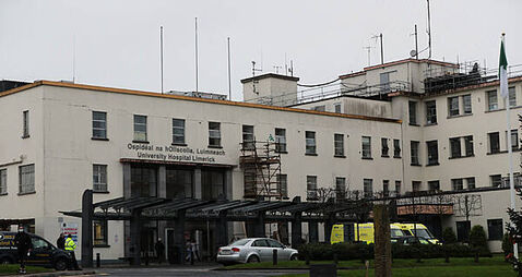 Doctors issue warning after teenage girl contracts deadly disease from horses in Limerick