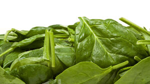 Spinach and mixed leaves products recalled over listeria fears Spinach and mixed leaves products recalled over listeria fears