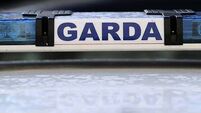 Woman (70s) dies after being stung by bees in Co Mayo