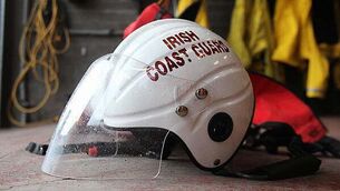 Woman injured in XL Bully dog attack in Wexford