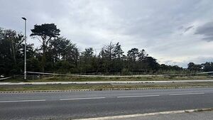 Search for missing boy feared dead continues in Dublin