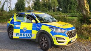 <p>Gardaí are investigating the burglary </p>