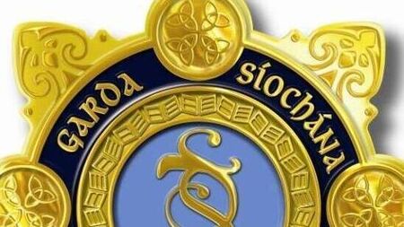 €9k worth of drugs seized in Co Carlow over weekend