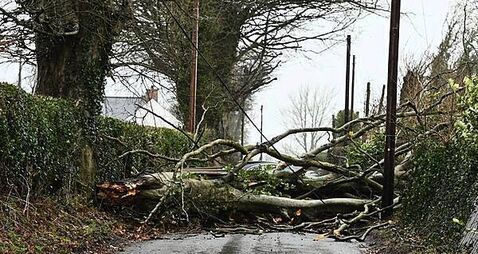 Storms likely to be ‘much more destructive’ due to climate change, Met Éireann briefing says