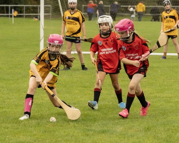 Action from the game between Myshall and Oulart/The Ballagh. Action from the game between Myshall and Oulart/The Ballagh.