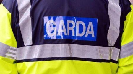 Woman fined but spared driving ban
