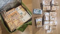 Over €236,000 cash, Polish zloty, passports, driving licenses and identity cards seized in Dublin