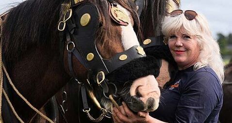 Presidential candidates among thousands at Ploughing Championships