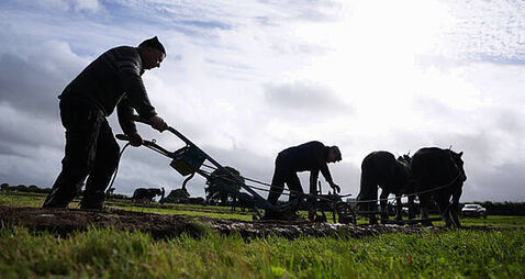 ‘Huge issue’ of trespassing and dog attacks discussed at Ploughing Championships