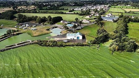 Space technology plan to monitor noxious algae on Ireland's largest lake