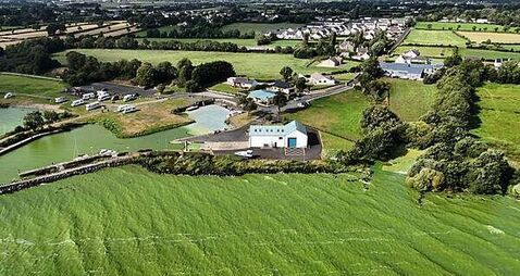 Space technology plan to monitor noxious algae on Ireland's largest lake