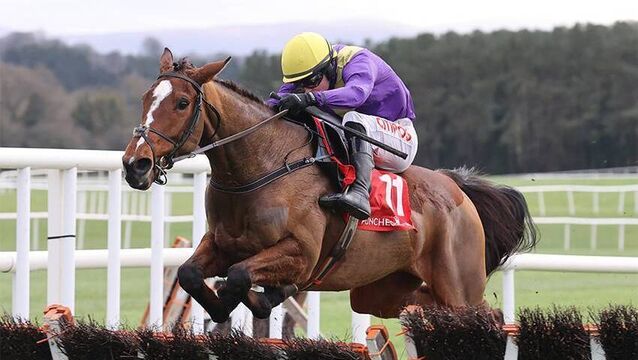 Willie Mullins’ You Oughta Know among 18 hopefuls for the Guinness Kerry National at Listowel on Wednesday 