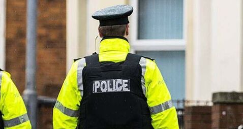 Police car damaged after being attacked by large crowd in Co Down