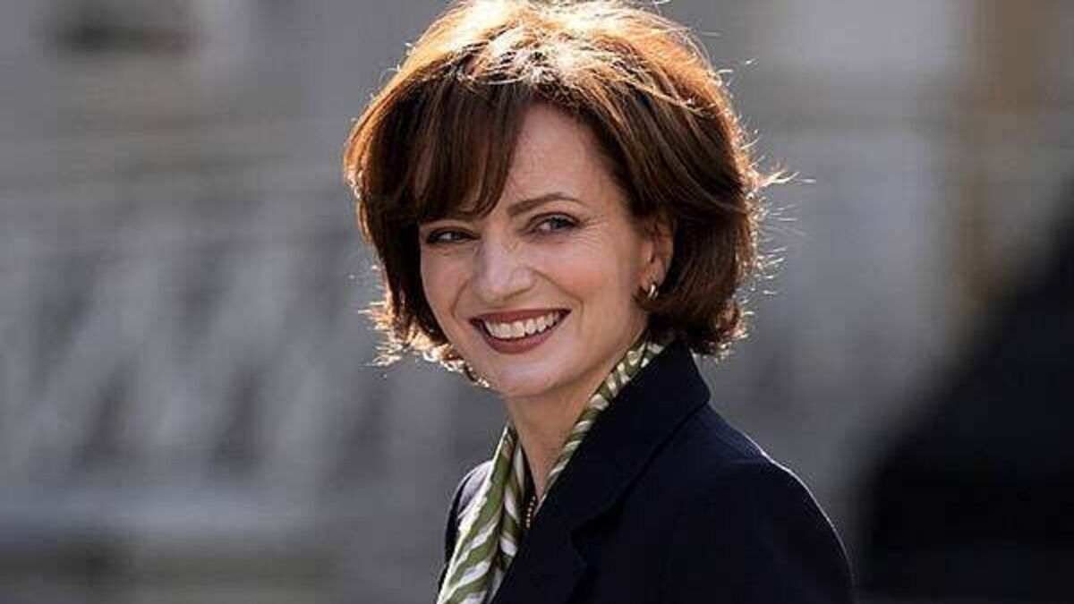 Maria Steen closer to making ballot after Independent Ireland back her campaign