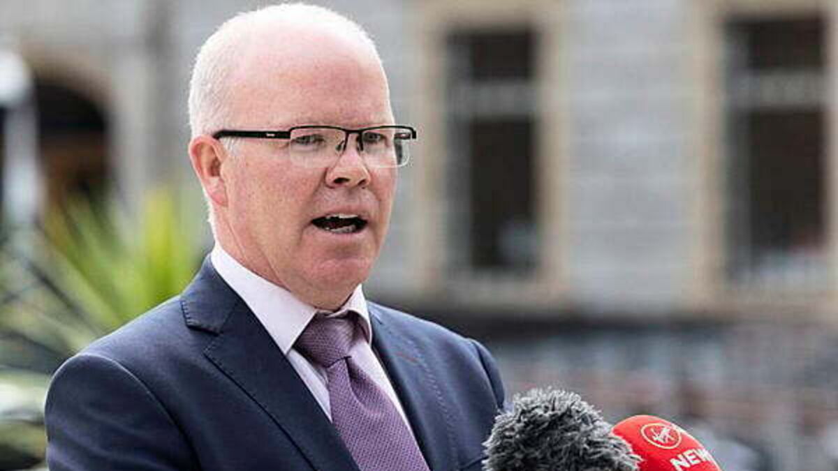 Aontú leader says there is a 'groundswell of support' for Maria Steen