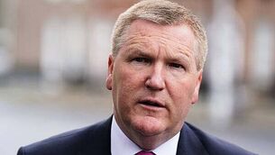 Maria Steen says she delayed presidential run in case Michael McDowell went for Áras