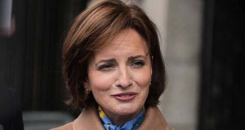 Maria Steen says she delayed presidential run in case Michael McDowell tried for Áras