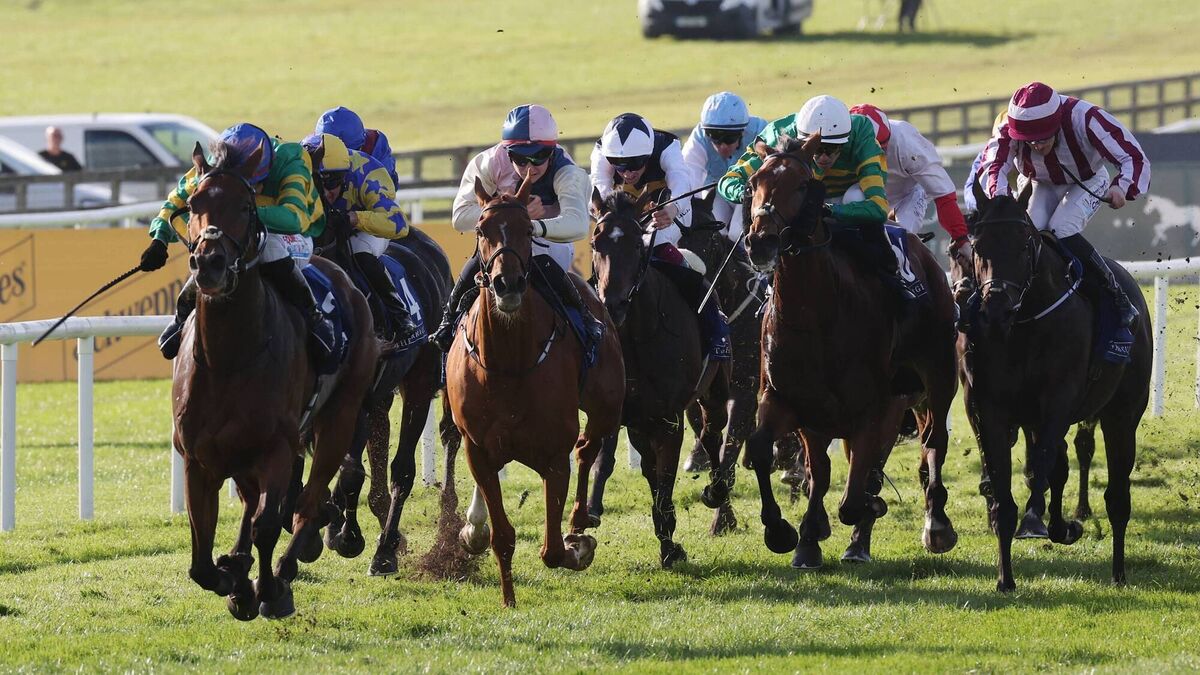 McCullagh bridges huge gap to land Irish Cesarewitch