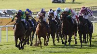 McCullagh bridges huge gap to land Irish Cesarewitch