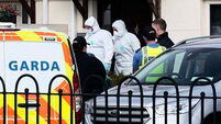 Father and daughter found dead in suspected murder-suicide at Dublin home named locally