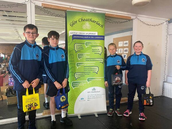 Scoil Diarmada Castledermot shared third prize 