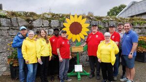 Giant sunflower in Duckett’s Grove is a symbol of hope