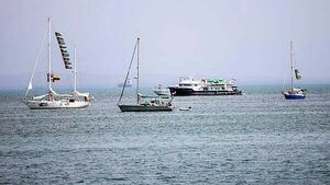 Senator on board Gaza-bound aid flotilla ‘detained by Israel’ – Sinn Féin