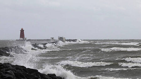 Storm Amy: Met Éireann warn of power outages with gale force winds to hit over the weekend