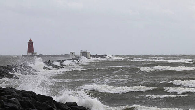 Storm Amy: Met Éireann warn of power outages with gale force winds to hit over the weekend