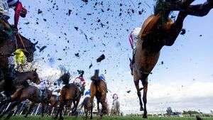 Gowran Park Racecourse: Preview and Tips for Friday’s Seven-Race Card 
