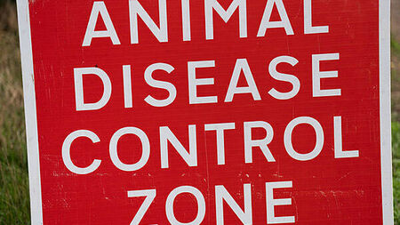 Suspected case of bird flu identified near Omagh