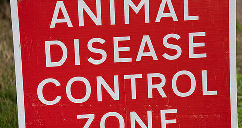 Suspected case of bird flu identified near Omagh