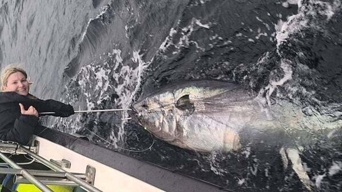 Biggest fish ever caught in Ireland hooked off coast of Donegal