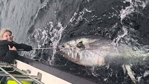 Biggest fish ever caught in Ireland hooked off coast of Donegal Biggest fish ever caught in Ireland hooked off coast of Donegal