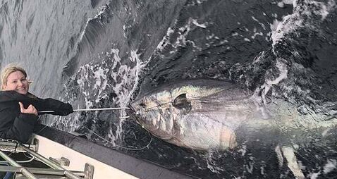 Biggest fish ever caught in Ireland hooked off coast of Donegal