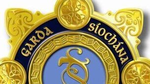 <p>Gardaí are investigating </p>